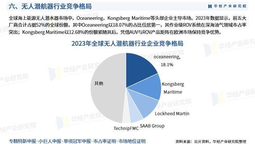 2025年中国无人潜航器行业市场深度分析及投资战略咨询报告